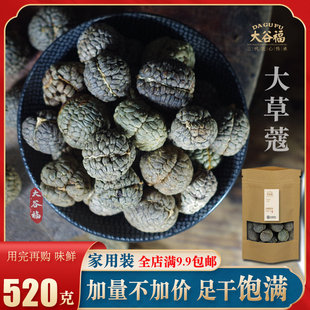 草蔻香料调料大全大草蔻仁老蔻草扣炖肉煮卤料火锅卤肉料大草豆蔻