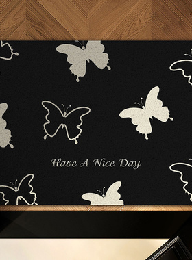 蝴蝶纯色丝圈地垫入户进门大门门口垫防滑脚垫门外高级入户地毯