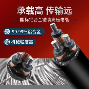 120 240 国标铝合金YJLHV22高压铠装 平方35KV 300 电缆线