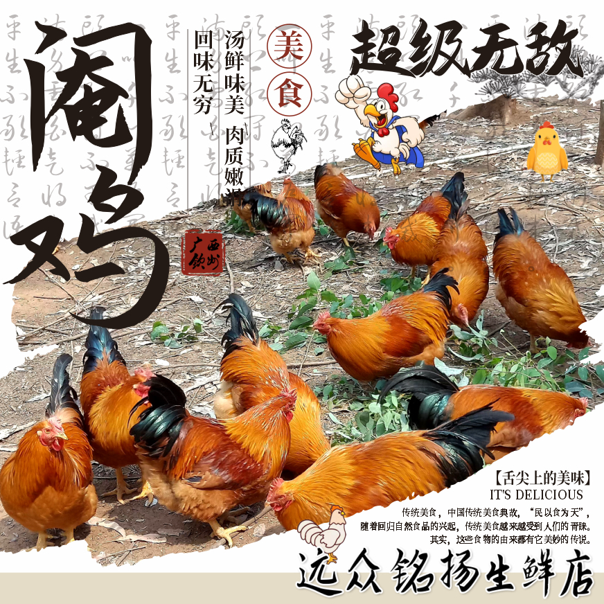 【当日现杀 顺丰空运】广西散养阉鸡正宗土鸡整鸡生鲜鸡肉