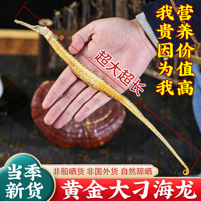 黄金大刁海龙干8克1条海产自然晾晒干货煲汤泡酒料中药材