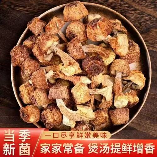 姬松茸干货无碎姬松茸菇
