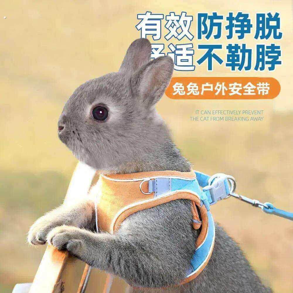 兔子牵引绳防挣脱遛小兔子专用神器背心式可伸缩外出的衣服溜绳子