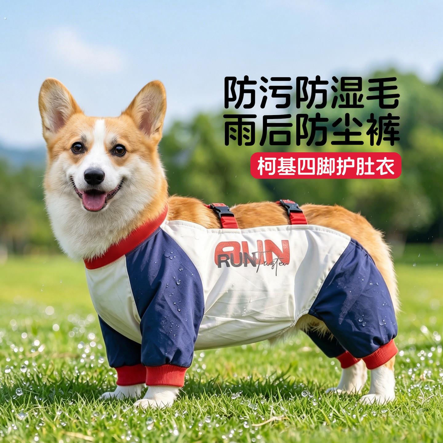 狗狗四脚衣服护肚衣防尘裤夏季雨衣防水防尘衣柯基中型犬2026新款