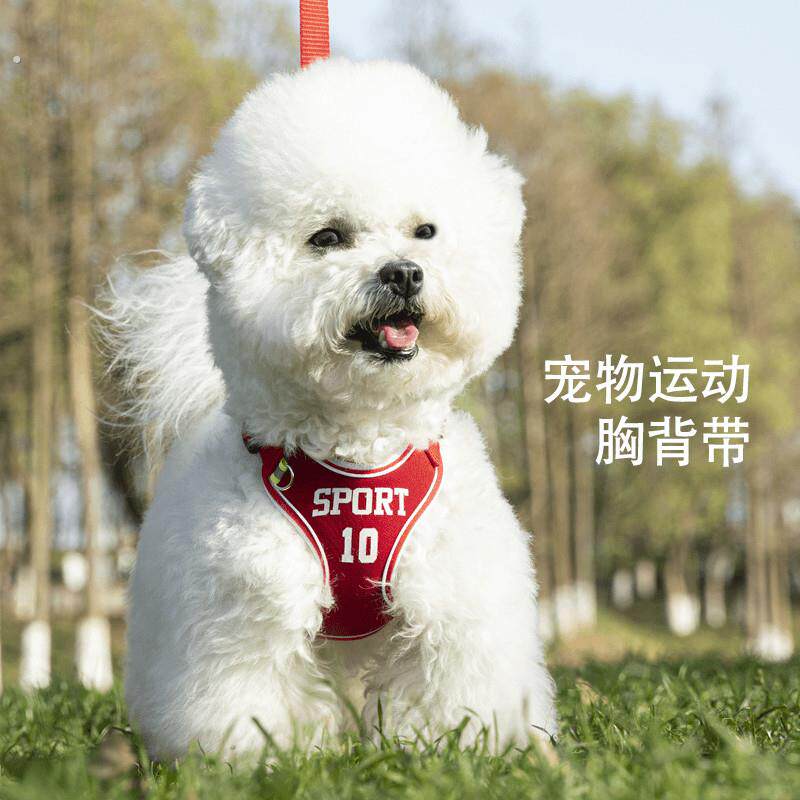 夏季狗狗胸背带猫犬通用中小型犬防挣脱出行反光可调节小狗牵引绳