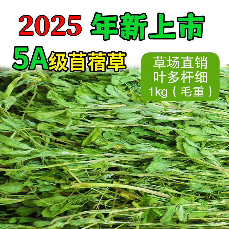2025年烘干紫花苜蓿草新草幼兔粮饲料兔子豚鼠龙猫荷兰猪粮食干草