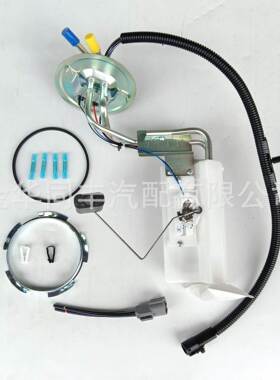 跨境热适用福特油泵总成SP2006H 310G2930192 4011015E油