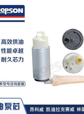 DOPSON FUEL PUMP 燃油泵 适用于昂科威 凯迪拉克赛威 林荫大道
