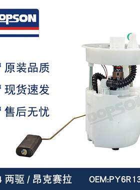 PY6R1335X PYTD1335XA PEDV1335XA F01R00S576CX-4两驱汽油泵总成