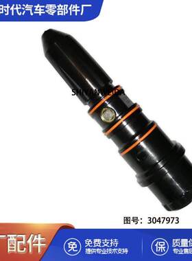3074763重庆康明斯NT855柴油发动机喷油器总成3047973