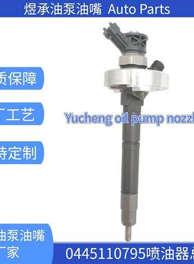 0445110795 0445110491 柴油喷油器 0 445 110 490全新品质