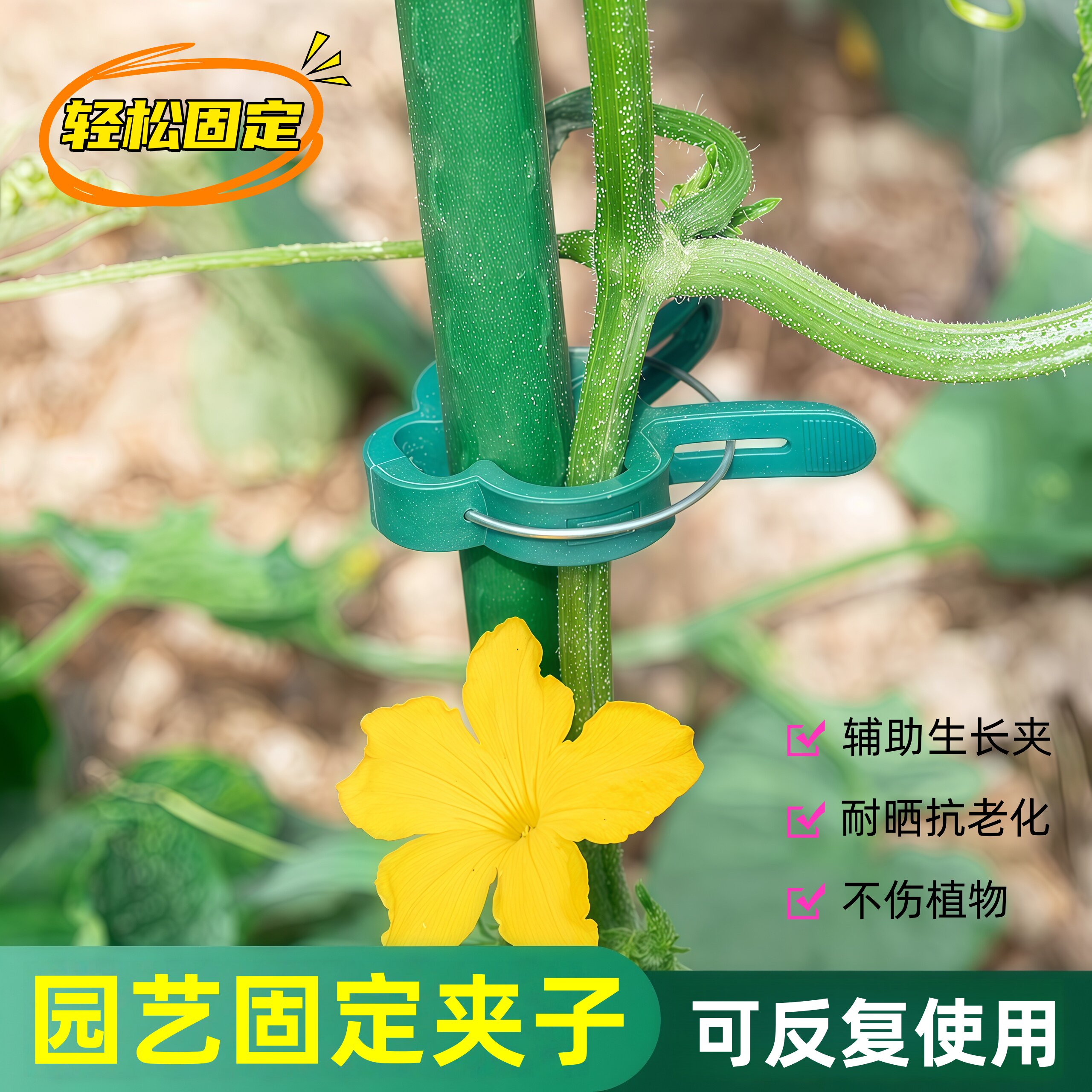 植物固定夹子花卉蝴蝶兰蔓藤水果蔬菜爬墙牵引工具助生长扎线支架