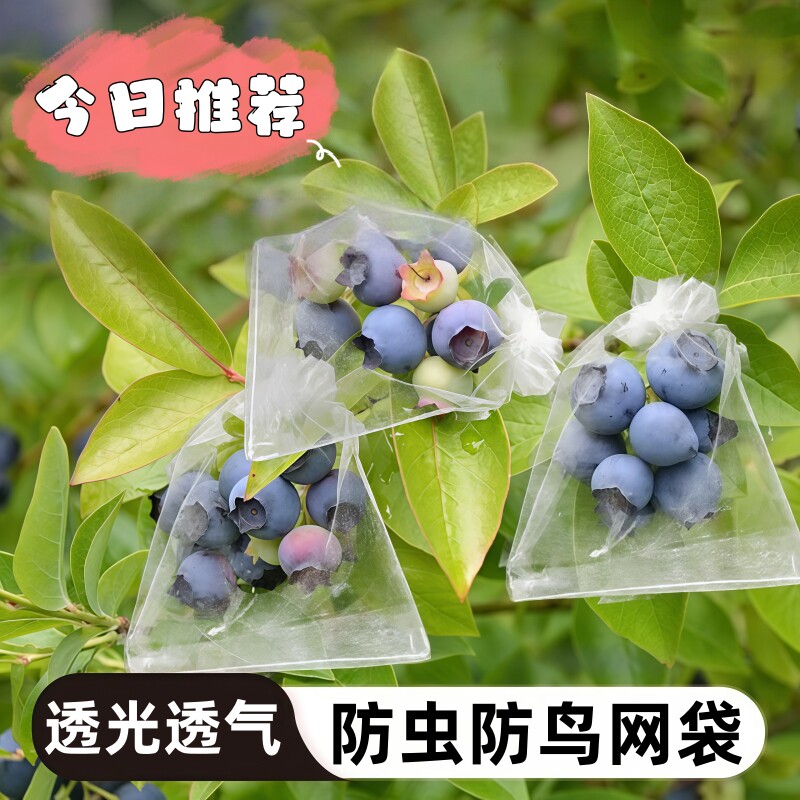水果套袋草莓防鸟网纱袋透气瓜果防虫袋果树无花果葡萄桃子保护袋