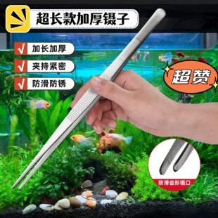 镊子不锈钢园艺长夹子大镊子取物加长鱼缸喂龟养花多肉专用下水道