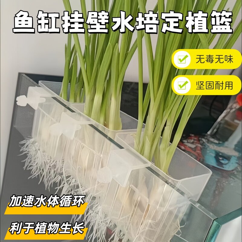 镂空花盆水培鱼缸植物定植水草种植固定壁挂式加厚家用透明水培篮