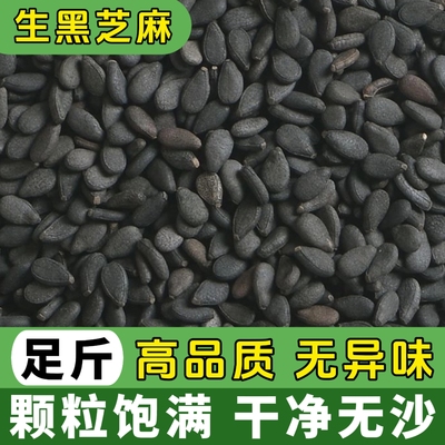 黑芝麻2025新货农家天然生黑芝麻干净免洗饱满无染色醇香油麻商用
