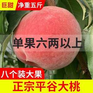 正宗平谷大桃5斤6两北京水蜜桃水果新鲜超甜久保脆桃硬桃子绿化九