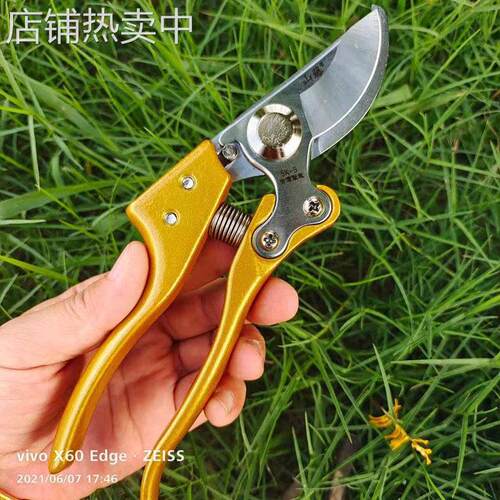 山藤775档整枝省力果树剪粗枝剪 修枝剪刀 园林 树枝 花枝剪刀