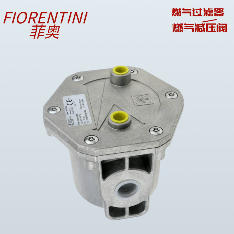 菲奥锅炉过滤阀FMF10604FMF10605FMF10606意大利燃气过滤器