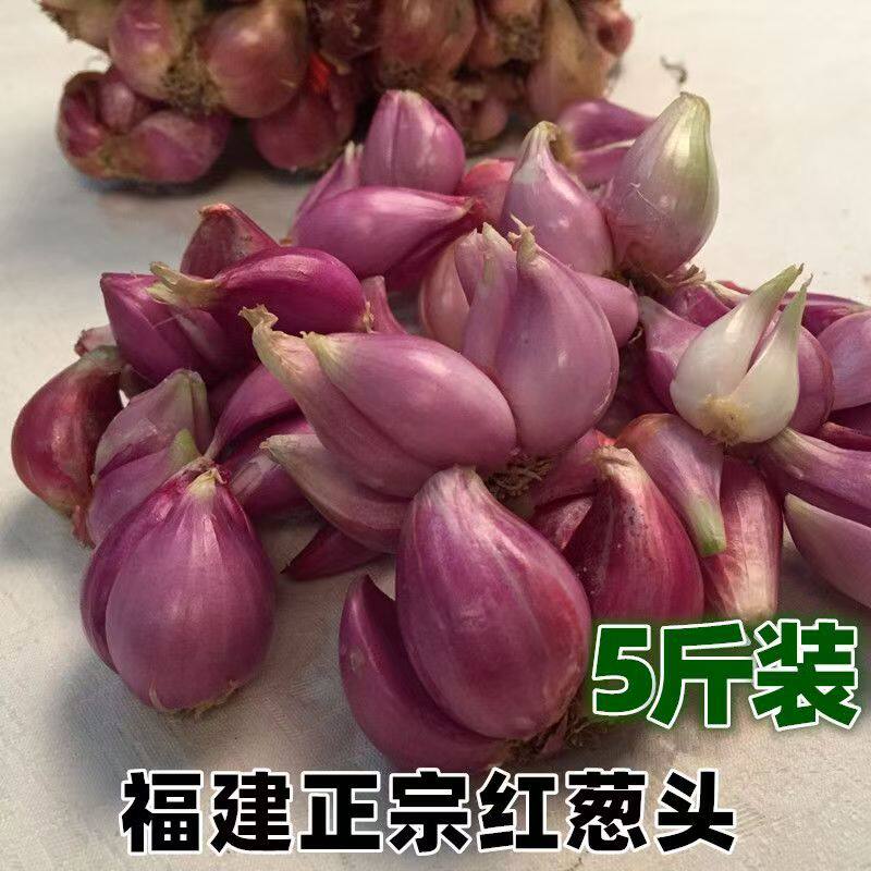 新鲜福建红葱头干小葱头广东火葱种子批发特香葱头炸葱油酥卤肉饭