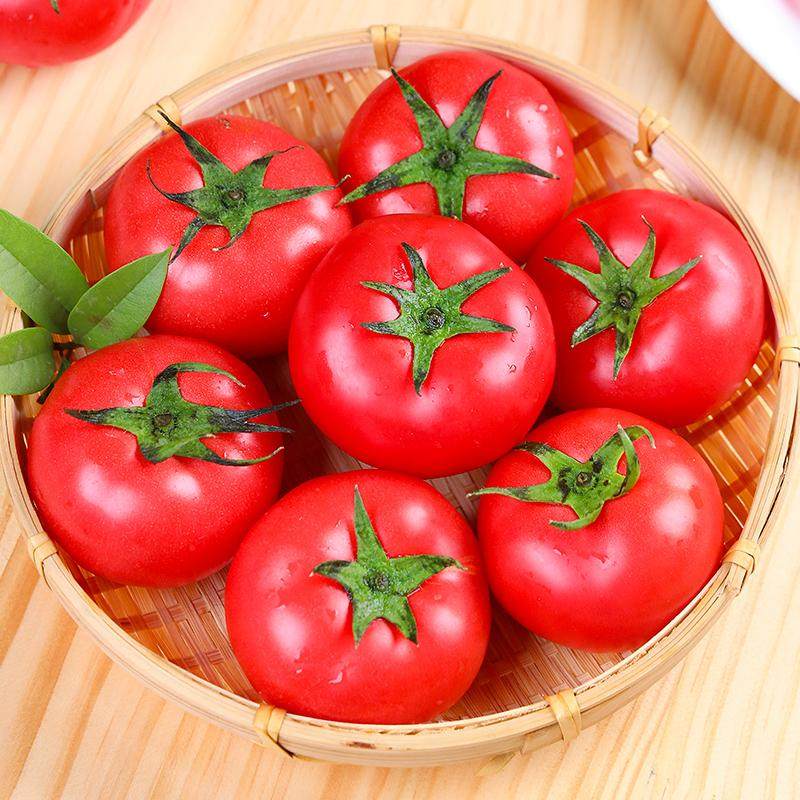 农家自种普罗旺斯孕妇水果当季沙瓤西红柿自然熟新鲜生吃番茄蔬菜,水产肉类/新鲜蔬果/熟食,番茄,淘宝优惠券,粉丝福利购,淘宝优惠卷