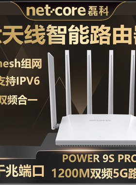 磊科无线路由器9SPRO双频5G千兆