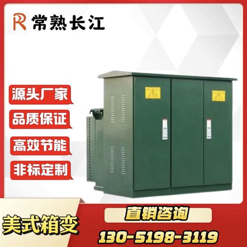 美式箱式变电站户外成套箱变油式变压器移动变电站ZGS11-50KVA