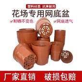 塑料育苗盆硬质加厚多肉花盆特价 清仓透气控根阳台温棚耐腐蚀小盆