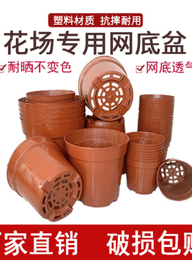塑料育苗盆硬质加厚多肉花盆特价清仓透气控根阳台温棚耐腐蚀小盆