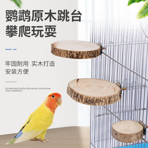 鹦鹉站台果木木跳台站架