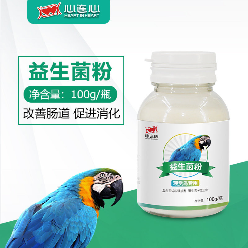 鹦鹉脚链脚环脚架脚垫