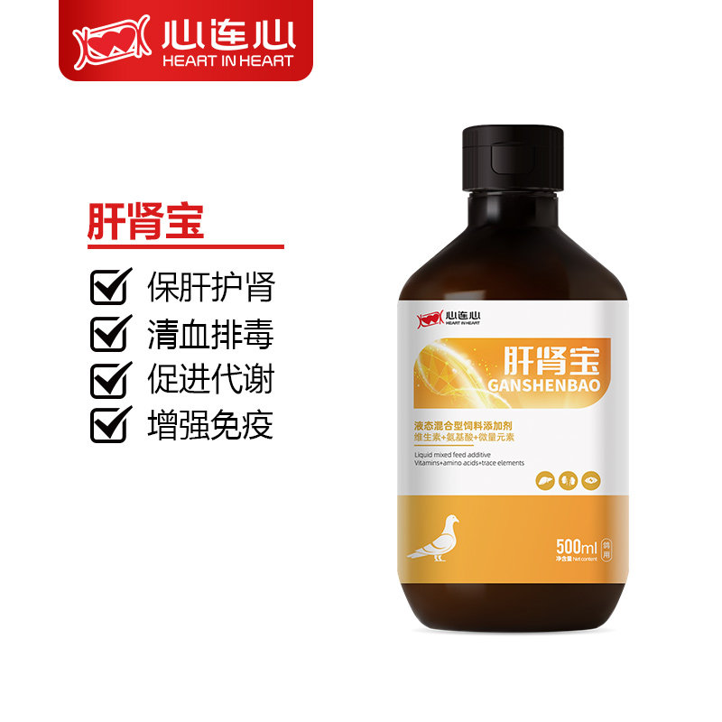 心连心鸽用肝精肝肾宝鸽子排毒保肝脏促进代谢清血排毒500ml/瓶