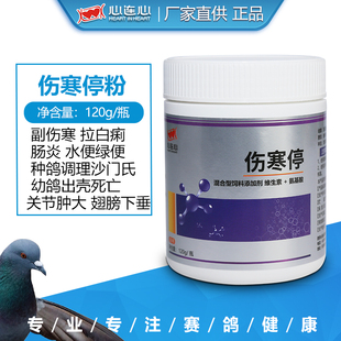 心连心伤寒停鸽药大全信鸽子药水绿便沙门氏菌种鸽调理副伤寒