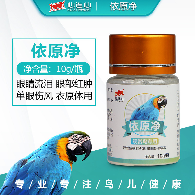 心连心鹦鹉药单眼伤风眼睛流泪眼脸肿胀衣原体引起角膜炎衣原净