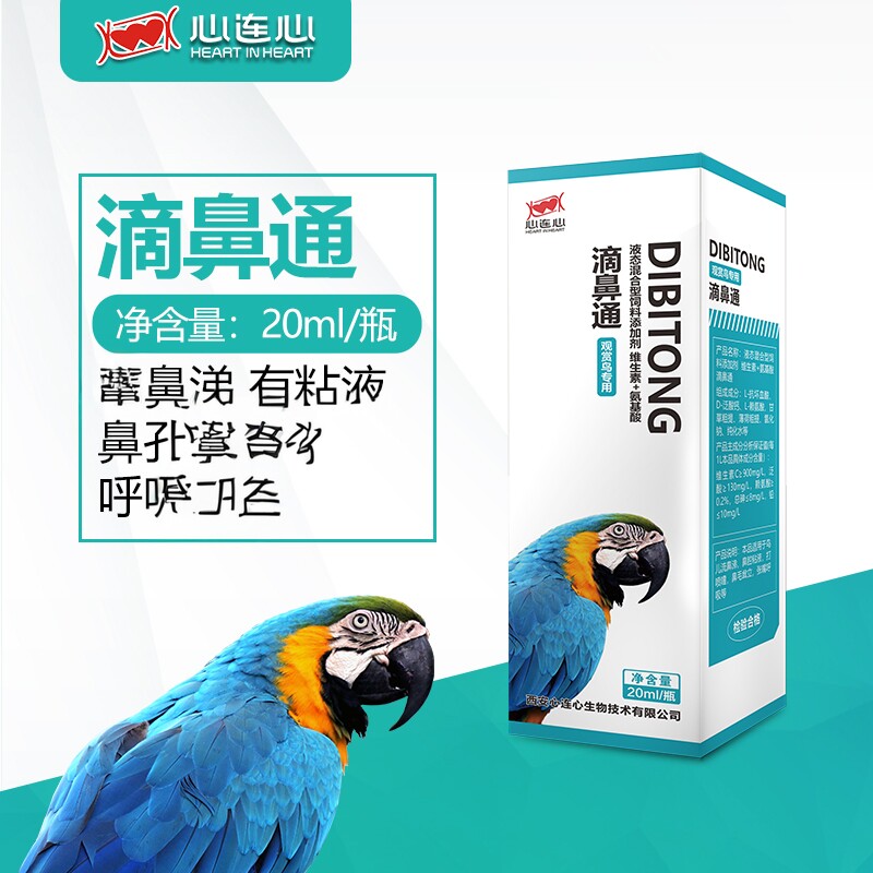 心连心鹦鹉鸟用感冒流鼻涕打喷嚏呼吸异常鼻子堵塞鼻子不通滴鼻通