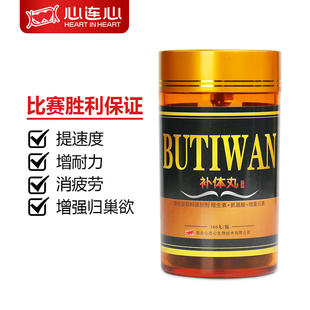 心连心鸽药信鸽子用品营养品用于赛鸽比赛提速飞的快补体丸大全