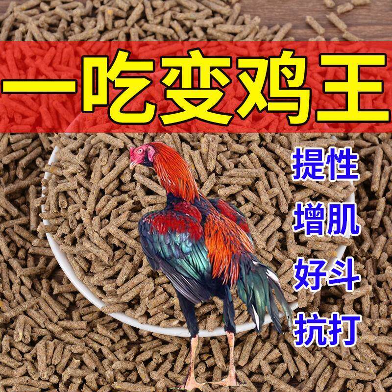 斗鸡专用饲料抗打增肌补钙红