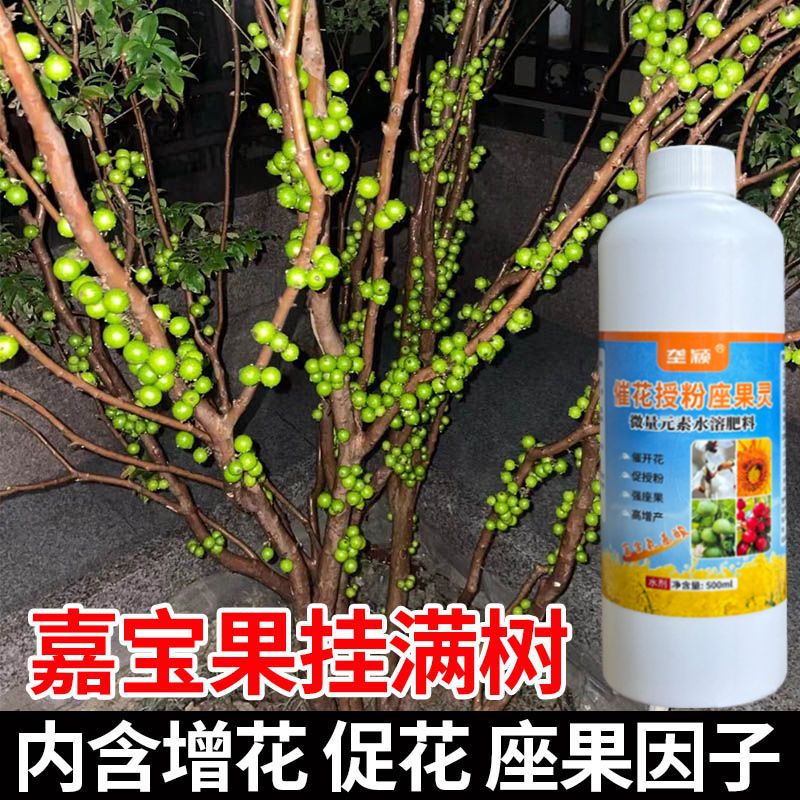 嘉宝果葡萄花保果液体肥