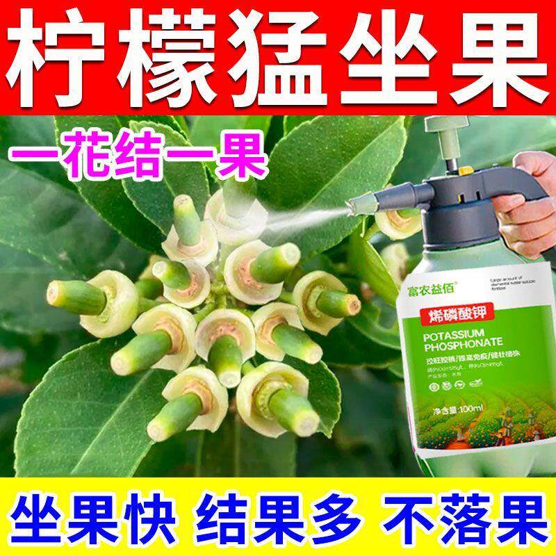 柠檬授粉座果精催花坐果促花素保花保果防落果专用水溶肥料营养液