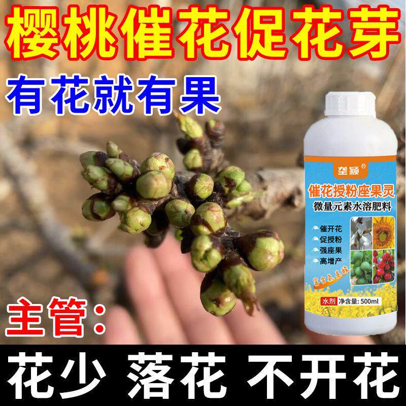 大樱桃点叶芽变花芽药一点灵樱桃破眠剂花芽分化素果树专用催芽剂