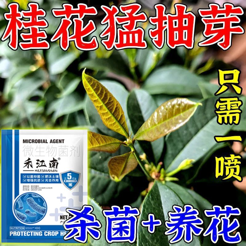 黄叶病干尖焦尖通用型