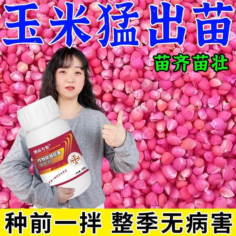 【防病+增产】玉米拌种保