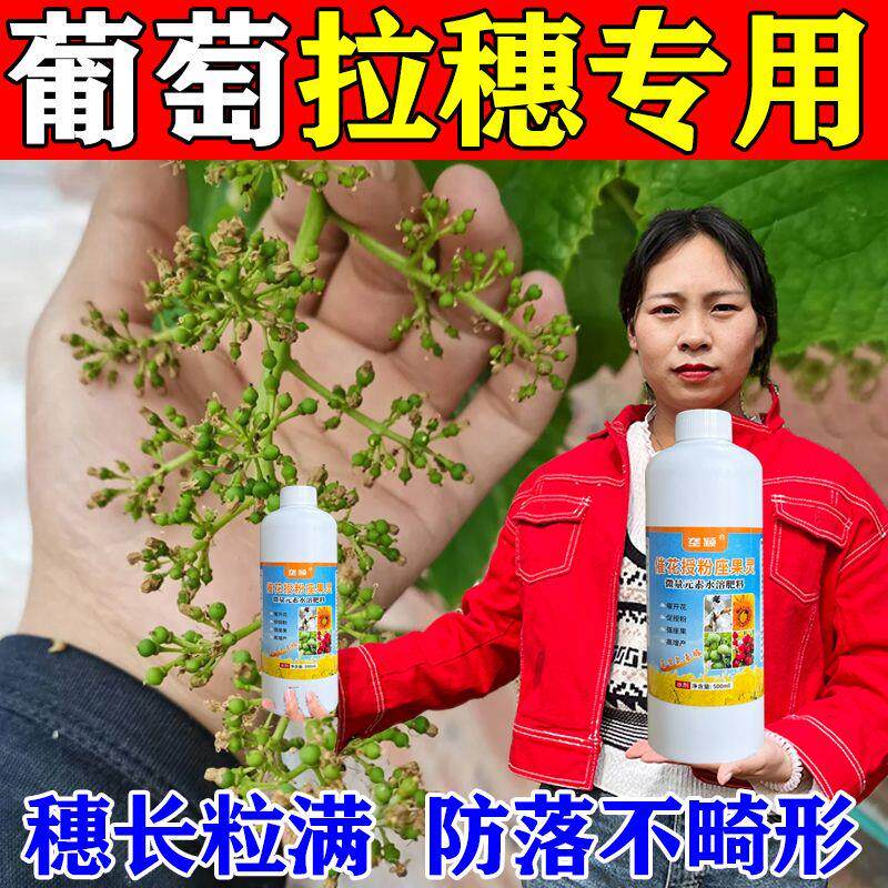 阳光玫瑰葡萄拉穗膨果防裂肥