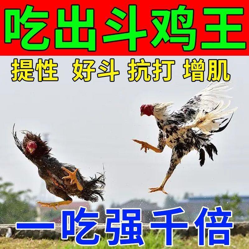 斗鸡增肌抗好斗饲料热销
