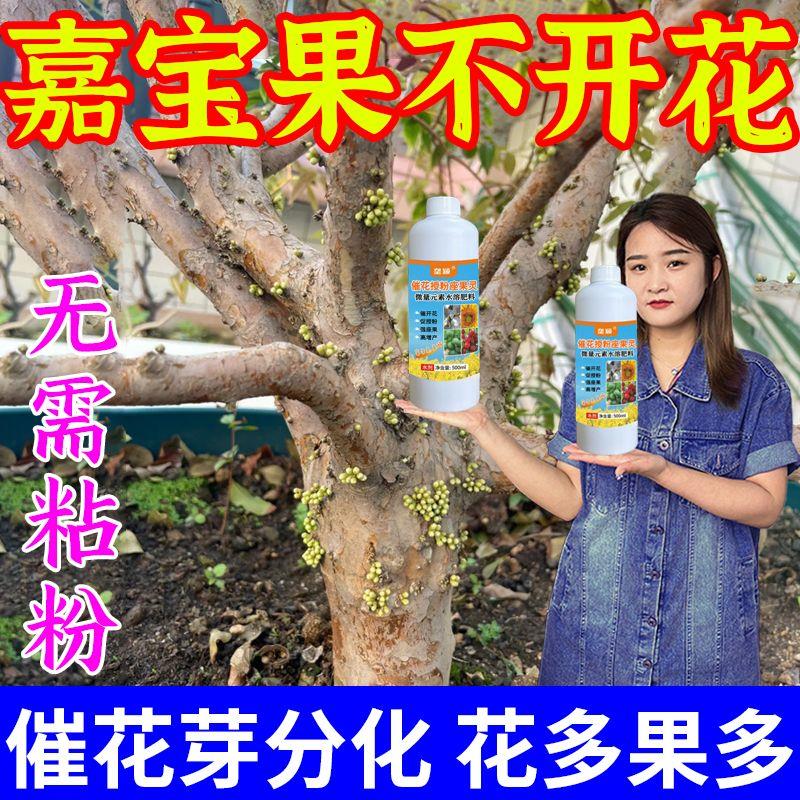嘉宝果花保果液体肥高端