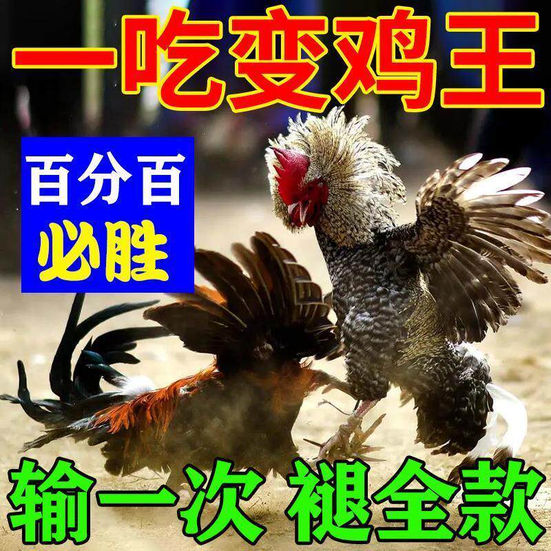 鸡王专用打料【百分百必胜】斗鸡补钙饲料壮膘好斗提高战斗力零食