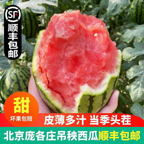 头茬北京庞各庄西瓜脆甜自然熟