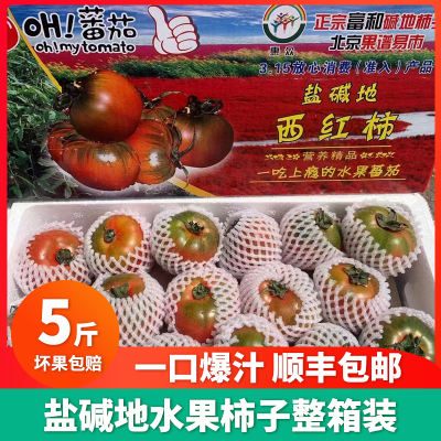 盘锦碱地水果柿子新鲜铁皮柿子