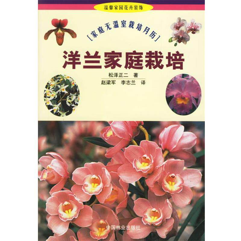 【正版书】 洋兰家庭栽培 (日)松泽正二 著,赵梁军,李志兰 译 中国林业出版社