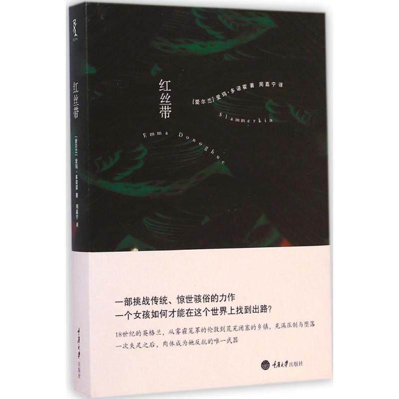 【正版书】 红丝带 (爱尔兰)爱玛·多诺霍 著,周嘉宁 译 重庆大学出版社